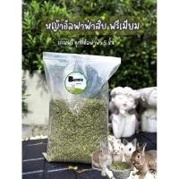 ราคา หญ้าอัลฟาฟ่าสับ 1กิโลกรัม ร่อนฝุ่น แถมคุกกี้ 5 ชิ้น สินค้าพร้อมส่ง นำเข้าจากออสเตรเลีย (6744782842)