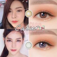 ราคา คอนแทคเลนส์ รุ่น Mini Catier สีเทา/ตาล gray/brown มีค่าสายตาปกติ (0.00) เปลี่ยนแทนทุกเดือน (19785248710)