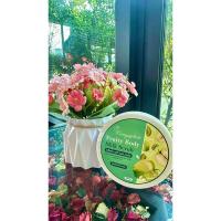 ราคา Fruity Body Milk Scrub สครับผลไม้ by kanyaphak (25469658048)