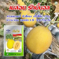 ราคา เมล็ดเมล่อน รักบี้บอล ปริมาณ40เมล็ด ตราเครื่องบิน เมล็ดพันธุ์เมล่อน เจียไต๋ (5658886932)