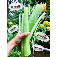 ราคา ต้นอ้อดิบ ต้นคูณ ของแท้จากภาคใต้ พร้อมแกง (29924691539)