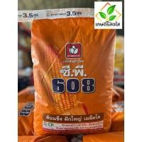 ราคา ข้าวโพดซีพี 608 พันธุ์ใหม่ ขนาด 10 กก. (3.5 หุน) ต้นแข็ง ฝักใหญ่ เมล็ดโต (28938556590)