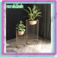 ราคา CT060D020 TROPACL กระถางต้นไม้นอดิก กระถางทรงสูงสีทอง กระถางต้นไม้ ตกแต่งห้อง สวยหรู #กระถางต้นไม้นอดิก #กระถางต้นไม้ (23685842773)