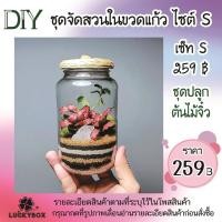 ราคา สวนขวด DIY สวนในขวดแก้ว ไซต์ S basic 259 ชุดปลูกต้นไม้จิ๋ว (26585627578)