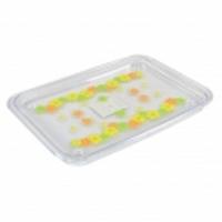 ราคา ถาดพลาสติกPS เกรดA PN243I (868645604)