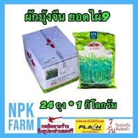 ราคา ศรแดง ขายยกลัง ผักบุ้งจีน ยอดไผ่9 หมดอายุ 01/2569 ขนาด 1 กิโลกรัม ยกลัง 24 ถุง ผักบุ้ง ผักบุ้งจีน (25589288931)