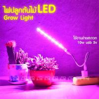 ราคา ไฟปลูกต้นไม้ led grow light usb เสียบ powerbank ได้ หลอดไฟปลูกต้นไม้ ไฟปลูกพืช ไฟปลูกผัก มอนสเตอร่า แคคตัส ไม้ด่าง (10461837153)