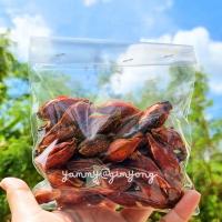 ราคา เม็ดพุด เม็ดพุดจีน ลูกพุด ลูกพุดจีน เมล็ดกุยจี กีจี้ ดอกพุดจีน Gardenia Fruit พร้อมส่ง (5132563381)