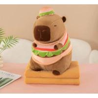 ราคา หมอนผ้าห่มคาปิบาร่า capybara หมอนผ้าห่ม ผ้าห่มนาโน (25791825957)