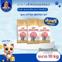 ราคา Royal Canin Kitten British Shorthair 10 กิโล{อาหารแมวเม็ด} (18494587808)