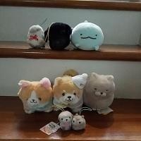 ราคา คอกี้ชิบะอมูส สินค้าในไลฟ์24/12 for k.ninthira (5171137639)