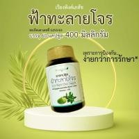 ราคา ฟ้าทะลายโจร เวียงพิงค์เภสัช (15591832474)