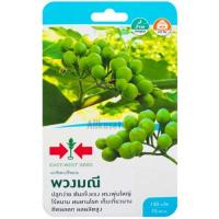 ราคา เมล็ดมะเขือพวง พวงมณี ตราศรแดง (27806775367)