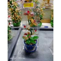 ราคา ต้นหยกเสริมบารมี สามแบบ (14060629023)