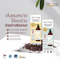 ราคา ชุดลดผมร่วง แชมพู+ครีมนวดหยดสังข์ (8702056908)