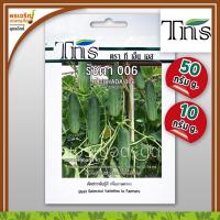 ราคา เมล็ดพันธุ์แตงกวา แตงกวารัชฎา 006 F1 (10, 50 กรัม) เมล็ดแตงกวาลูกผสม แตงกวาท่อน เมล็ดพันธุ์ผักสวนครัว ตราทีเอ็นเอส TNS (8218762925)