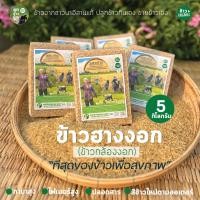 ราคา ข้าวฮางงอกหอมมะลิ ชุดอิ่มจุกๆสุขภาพดี GABA RICEข้าวออร์แกนิก ขนาด 5 กิโลกรัม (แพคสุญญากาศ) (25584745779)