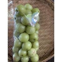 ราคา มะขามป้อมสด 1กิโลกรัม 60 บาท สวนเกษตรอินทรีย์ 55-65ลูก/1กิโลกรัม เก็บสดใหม่ตาม orderจากสวนเกษตรปลอดสาร (13712732433)