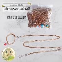 ราคา โซ่กระรอก โซ่ชูก้าร์ อย่างดี ชายส่ง โซ่กระรอก ราคายกโหล (12 เส้น) (5371088200)