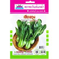 ราคา เมล็ดพันธุ์ ผักกาดฮ่องเต้ เชียงตุง ตะวันต้นกล้า (43458549566)