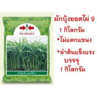 ราคา เมล็ดผักบุ้ง ยอดไผ่9 ตราศรแดง 1 กิโลกรัม ผักบุ้งจีน ต้นอ่อน (41273746383)