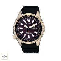 ราคา Asia Limited ของแท้ นาฬิกาข้อมือ Citizen Promaster รุ่น NY0083-14X (1575064468)