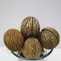 ราคา ลูกตีนเป็ดน้ำ ขัดสะอาด (4107427596)