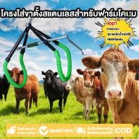 ราคา ไม้แขวนเสื้อวัว อุปกรณ์สำหรับปศุสัตว์ อุปกรณ์ช่วยยกวัวยืนพยุงวัวยืน ร้านขายม้า (41757633410)
