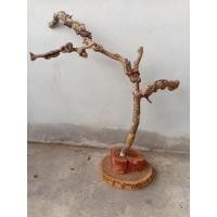 ราคา คอนสำหรับสัตว์ทำจากกิ่งไม้ลวดลายจากธรรมชาติฐานทำจากไม้เนื้อแข็งอย่างดีขนาด100cm (42052193704)