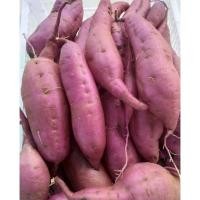 ราคา มันหวานญี่ปุ่นส้มโอกินาว่าและม่วงเพอร์เพิลสวีท (9367783498)