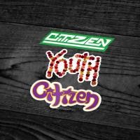 ราคา CITIZEN - สติ๊กเกอร์วง CITIZEN (BOTTLEG) (44752743012)