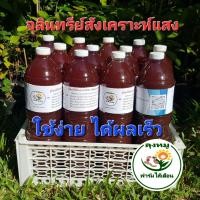 ราคา หัวเชื้อ จุลินทรีย์สังเคราะห์แสง PSB ขนาด 1.5 ลิตร สูตรเข้มข้น ขยายเชื้อได้เร็วเร่งราก บำรุงดิน กล้าโตไว บำบัดน้ำ (9939722298)