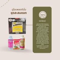 ราคา ดูโอแพลตตินัม ชุดสะสมดอก ปุ๋ยน้ำ ตราหญิงงาม เพิ่มการออกดอก สะสมอาหาร ชุดสะสมอาหารหญิงงาม (43273481343)