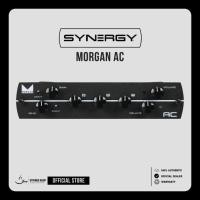 ราคา Synergy Morgan AC Tube Preamp Module (41374792672)