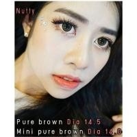 ราคา Pure brown dia 14.5 (35471224)