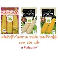 ราคา (200เมล็ด) เมล็ดพันธุ์ ข้าวโพด เพียวไวท์ กราวิส ข้าวโพดฮอกไกโด ข้าวโพดนมสด ข้าวโพดญี่ปุ่น PureWhite ข้าวโพดกินดิบ ทับทิม (1983892451)