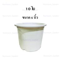 ราคา 10 ใบ กระถาง 6 นิ้ว กระถางต้นไม้ สีขาว กระถางขาว พลาสติก 6 นิ้ว สีขาว (24950191806)