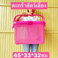 ราคา ตะกร้าใหญ่ ขนาด45*32*30ซม ตะกร้าใส่ลูกแมว ตะกร้าพลาสติก (15033438332)