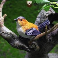 ราคา Vortexpulse Micro Landscape DIY Mini Dollhouse Succulent Plant Animal Model นกน้อย Fairy Garden Decor (29474221598)