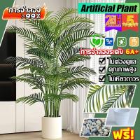 ราคา แถมฟรีหิน กระถางCOD ต้นไม้มงคลปลอม ต้นไม้ปลอม ต้นไม้เทียม ต้นไม้ประดิษฐ์สำหรับตกแต่งบ้าน ความจำลอง 99% (28563357212)