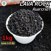 ราคา หินภูเขาไฟดำ (หินลาวาดำ Black lava) บรรจุถุง 1 กิโล ขนาด1-5 มิล วัสดุปลูก ผสมดิน โรยหน้ากระถาง แคคตัส (กระบองเพชร) บอนไซ (22419031509)