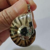 ราคา Ammonite pendant จี้ แอมโมไนต์เต็มตัว หอย แอมโมไนต์ หอยล้านปี จี้หอยแอมโมไนต์ คตหอย ใส่พกติดตัว เพิ่มพลัง แอมโมไนท์ (29577862504)