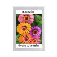 ราคา เมล็ดพันธุ์ดอกไม้ ดอกบานชื่น คละสี เน้นสีชมพู จำนวน 50-100 เมล็ด สินค้าพร้อมส่ง มีเก็บเงินปลายทาง แถมวิธีการปลูก ดอกไม้ (4837906931)