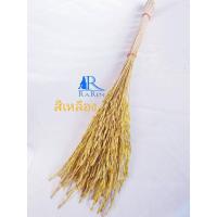 ราคา Rarinพร้อมส่ง‼️ดอกรวงข้าว ( สีเหลือง ) ดอกไม้แห้ง ใช้ตกแต่ง ตามโต๊ะอาหาร ร้านกาแฟ งาน Diy ต่างๆ (23614981511)