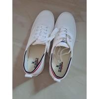 ราคา New CC-OO รองเท้าผ้าใบสีขาว ไซส์ 39 มีกล่อง ส่งฟรี (21490821872)