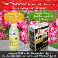 ราคา โรคชวนชม โรคราน้ำค้างชวนชม ชวนชมใบไหม้ โรคใบไหม้ ชวนชม โรคต่างๆจากเชื้อรา ใช้ ไอเอส1 หยุดโรค + FK-1 ฟื้นฟู โตไว ผลผลิตดี (11652393746)