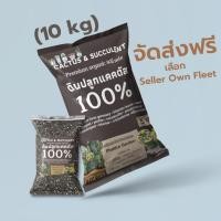 ราคา ส่งฟรี ดินปลูก แคคตัส ดินแคคตัส 10kg คุณภาพสูง กระบองเพชร กุหลาบหิน ไลทอป (23144780830)