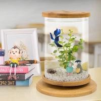 ราคา พร้อมส่ง โหลเลี้ยงปลามินิ โหลใส่ปลากัด ตู้ปลา โหลปลา ตู้ปลาขนาดเล็ก โหลแก้วสำหรับเลี้ยงปลาสวยงาม (3558222313)