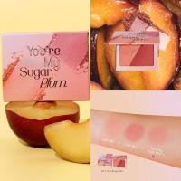 ราคา ShadeToo Color Blush On Edition ( B001-B005 ) (40216398633)