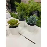 ราคา IKEA ไม้ประดิษฐ์ในกระถาง FEJKA ต้น Succulent, Pansy 6 ซม.แพ็ค 3 ชิ้น ต้นไม้ปลอม ไม้ประดับ ไม้ปลอมแต่งห้อง ต้นไม้ของขวัญ (41319424435)